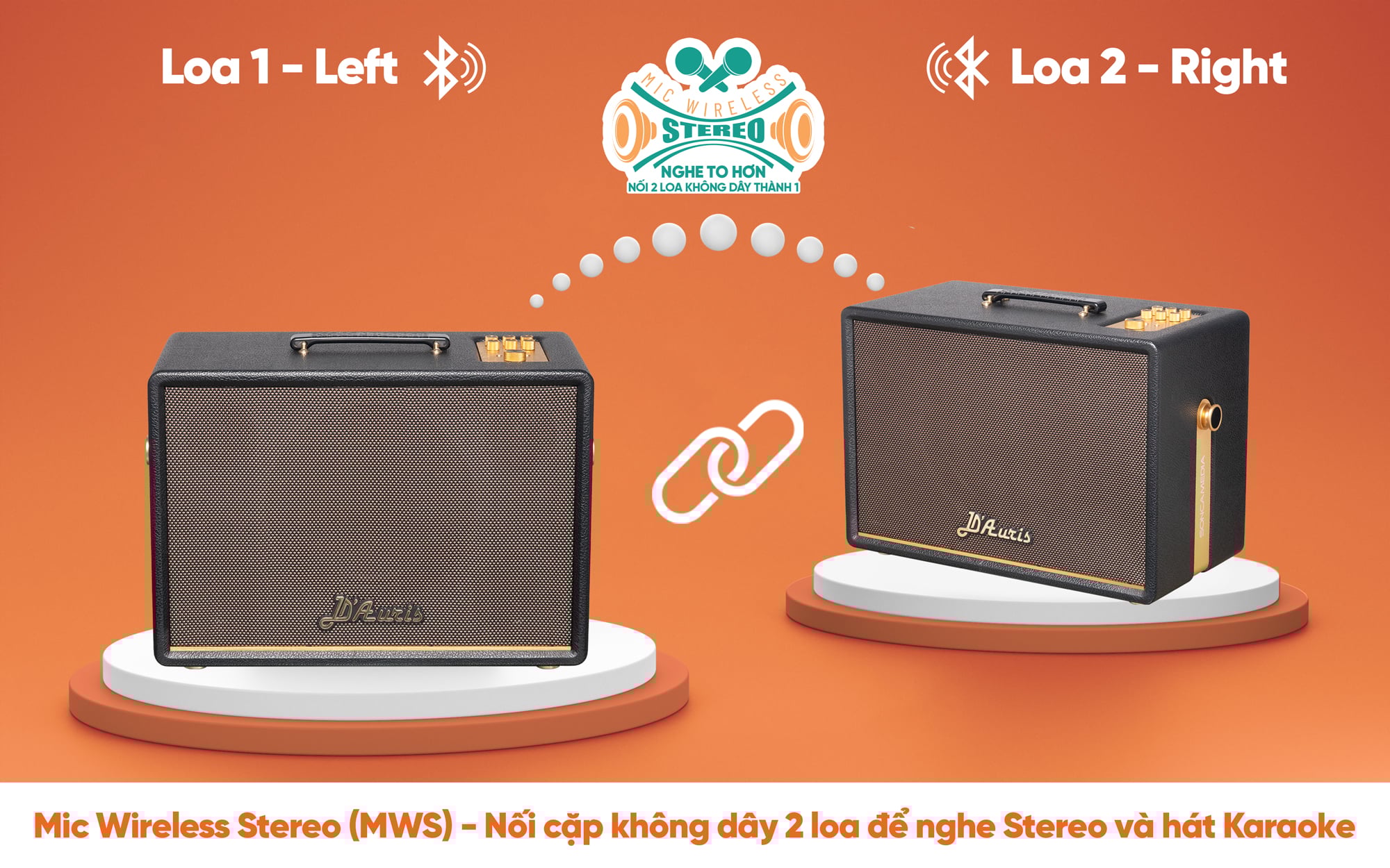 Loa karaoke xách tay Acnos - D’Auris 300 (Kèm quà tặng 1 triệu) - Image 9