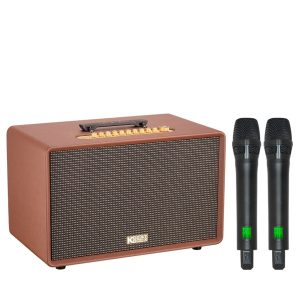 Loa Karaoke Xách Tay