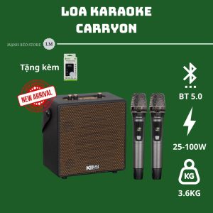 Loa Karaoke xách tay - SONCAMEDIA CarryOn
