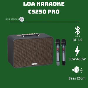 Loa karaoke xách tay - SONCAMEDIA CS250PRO